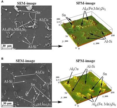 Tribological Tests Effect on Changes in the Surface Layers of Iron-Containing Antifrictional Aluminum Alloys